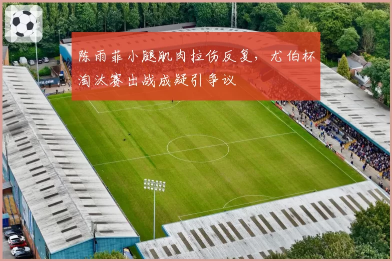 陈雨菲小腿肌肉拉伤反复,尤伯杯淘汰赛出战成疑引争议