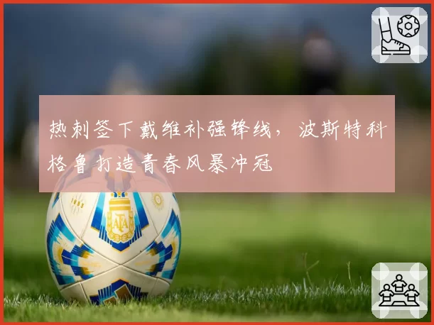 热刺签下戴维补强锋线，波斯特科格鲁打造青春风暴冲冠