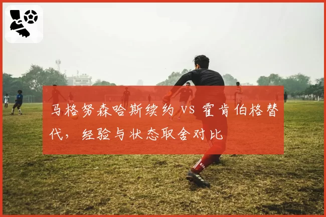 马格努森哈斯续约 vs 霍肯伯格替代，经验与状态取舍对比
