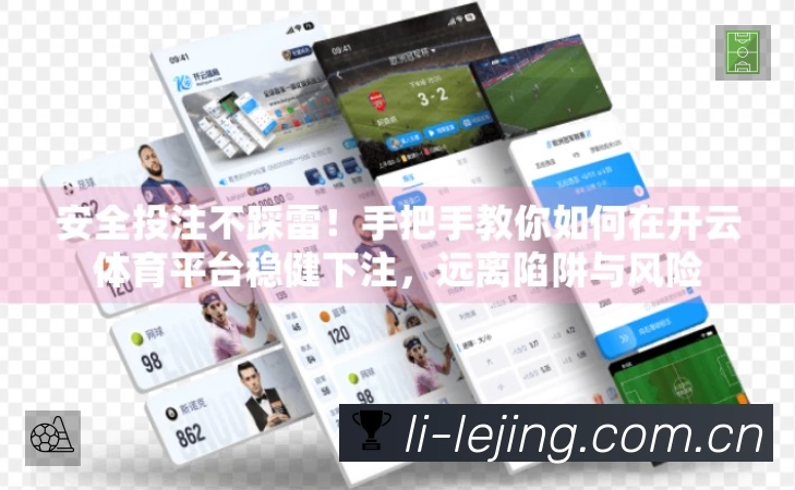 安全使用与支持流程